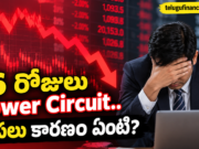 Mrugesh Trading Share Price:రూ.1 నుంచి రూ.115కి.. ఇప్పుడు వరుసగా Lower Circuit! Mrugesh Trading షేరు అసలు కథ