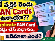 ఒకే వ్యక్తికి రెండు PAN Cards ఉన్నాయా? Duplicate PAN Card రద్దు చేసే విధానం, జరిమానా ఎంత?