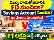 డబ్బు దాచుకోవడానికి FD మంచిదా? Savings Account మంచిదా? ₹1 లక్షపై ఎంత వడ్డీ వస్తుంది?