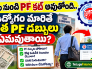 ఉద్యోగం మారుతున్నారా? మీ పాత PF డబ్బులు ఏమవుతాయో తెలుసా? UAN గురించి ఈ విషయాలు తప్పక తెలుసుకోండి!